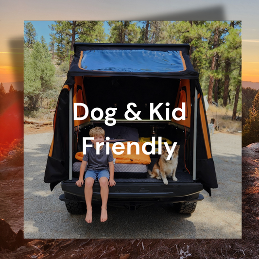 Dog & Kid Friendly